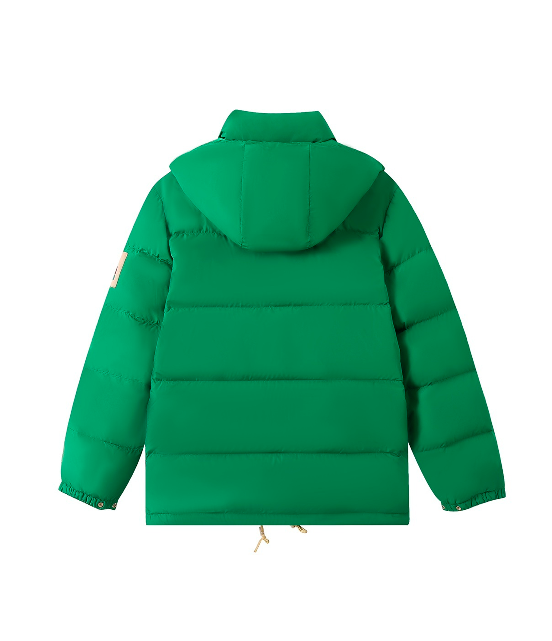 The North Face x Gucci Padded Jacket Green