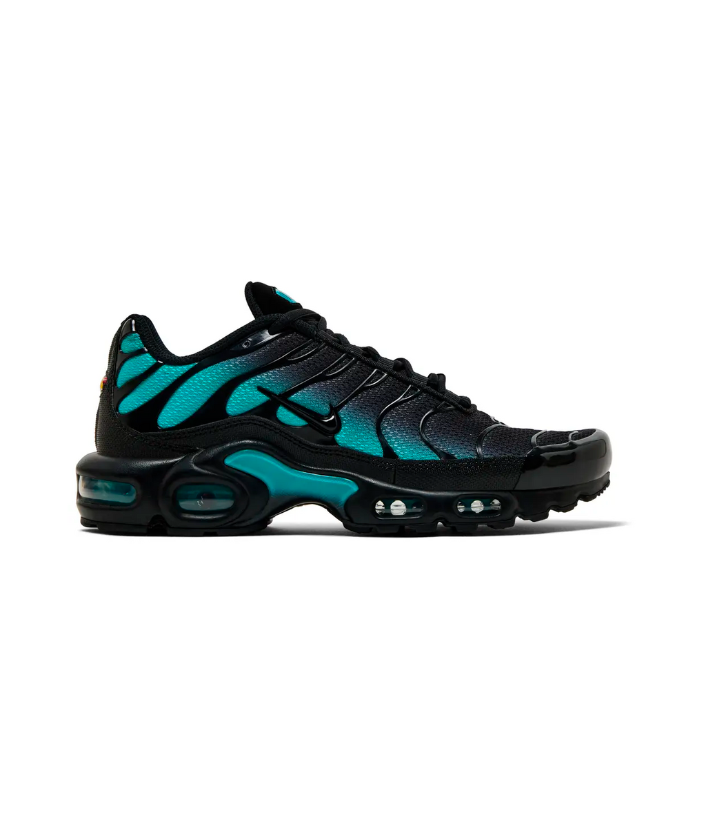 Nike Air Max Plus 'Black Dusty Cactus'