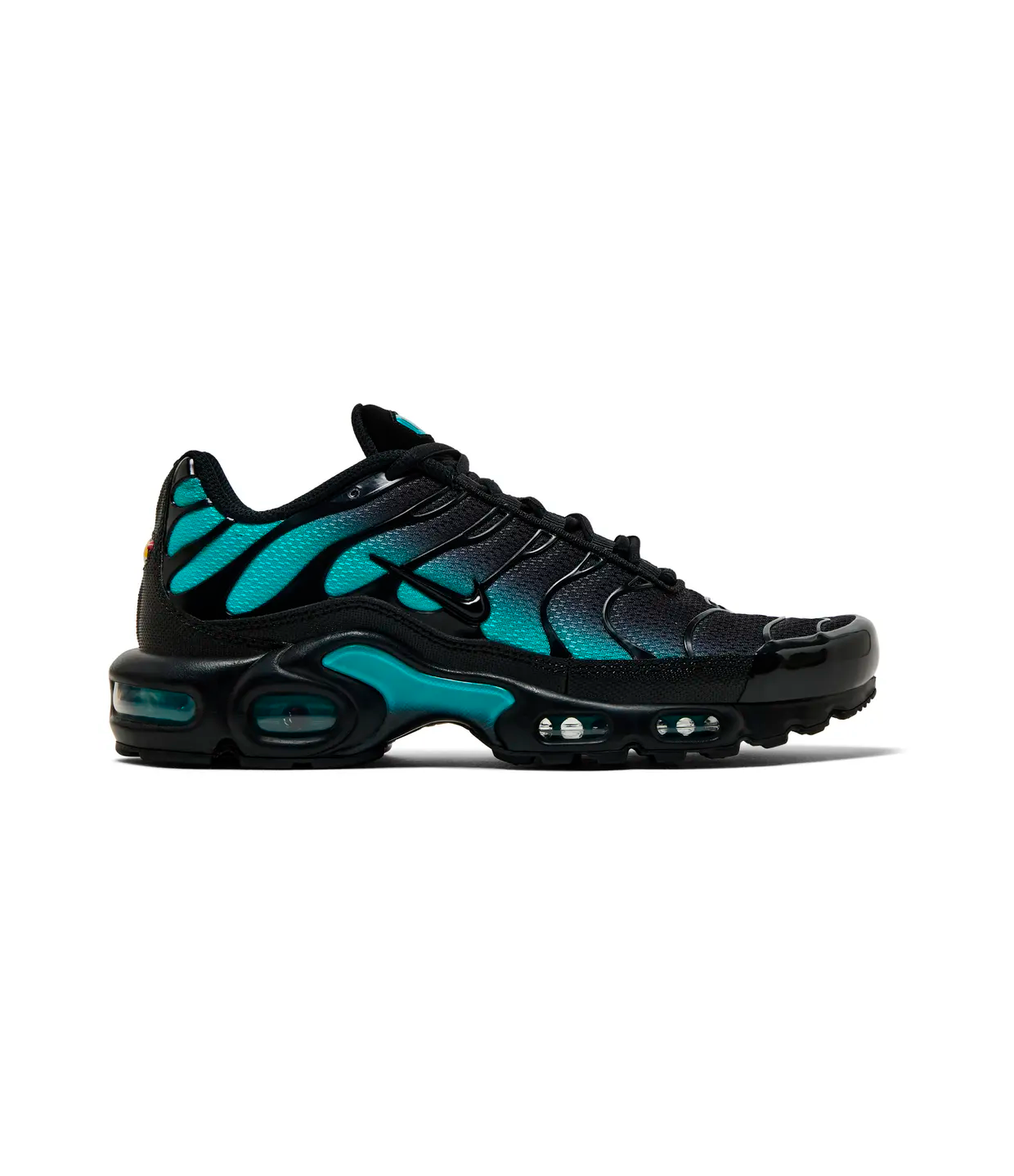 Nike Air Max Plus 'Black Dusty Cactus'