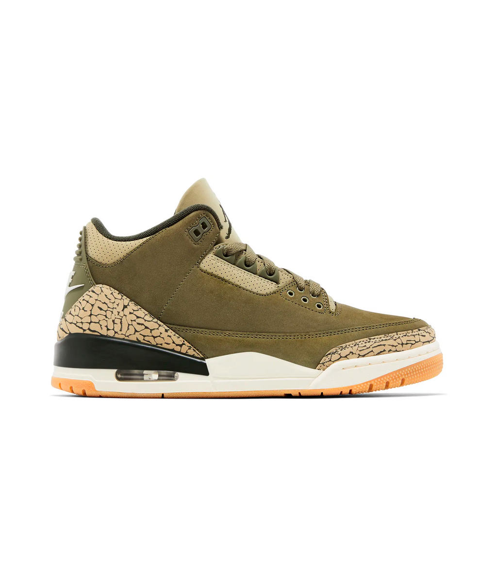 Air Jordan 3 Retro 'Family Affair'