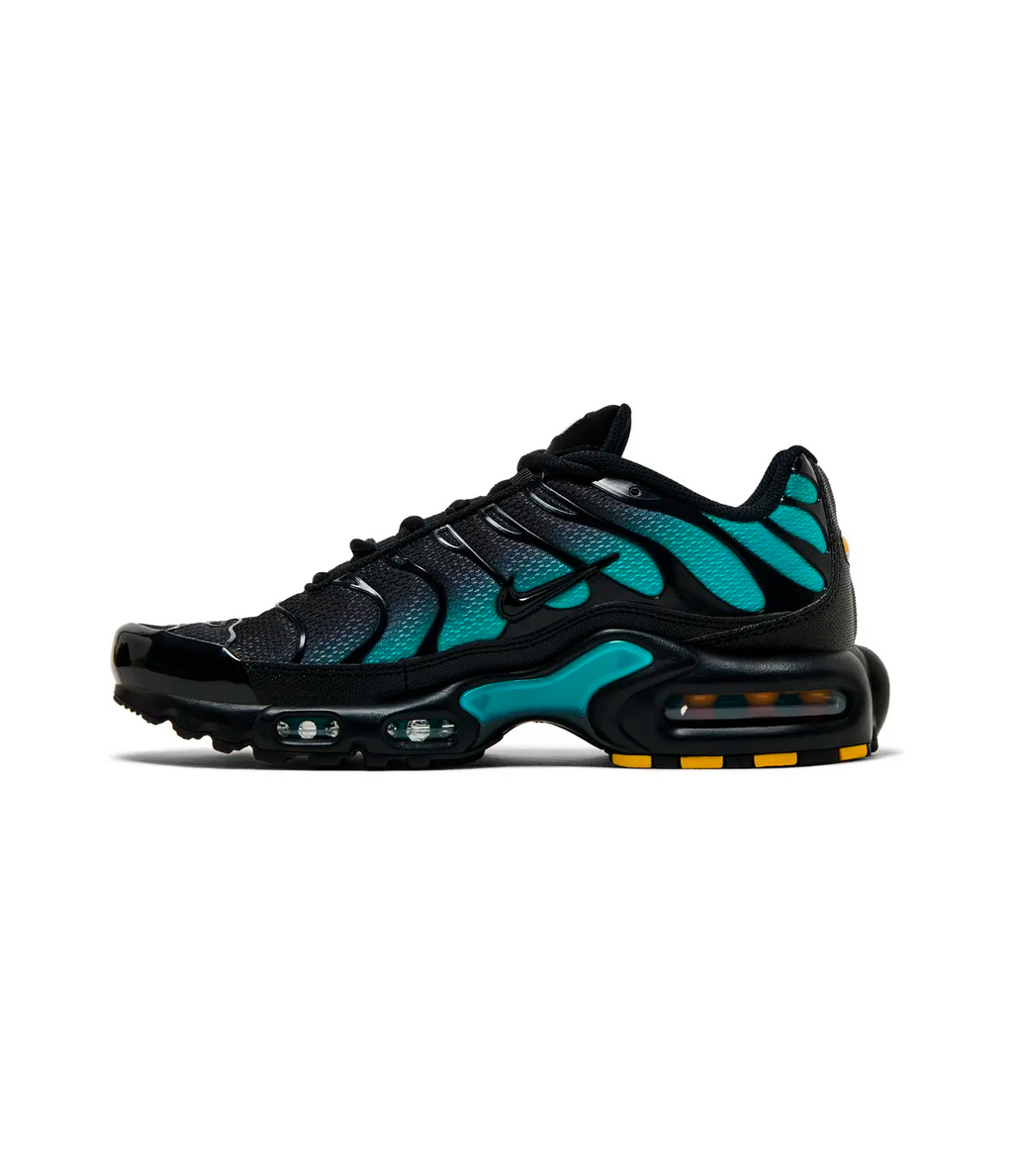 Nike Air Max Plus 'Black Dusty Cactus'