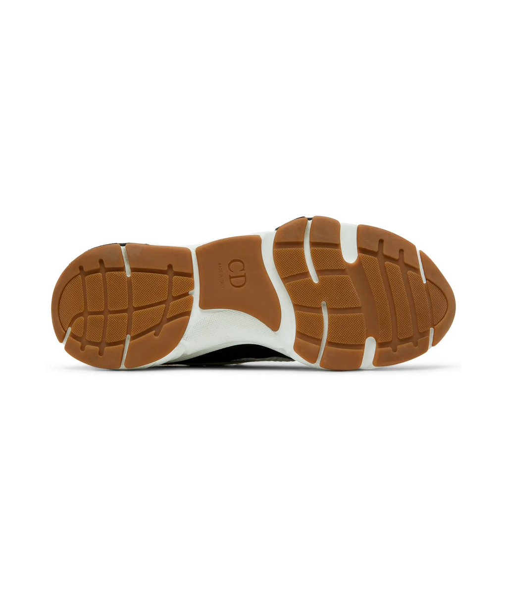 Dior B22 'White Black Gum'