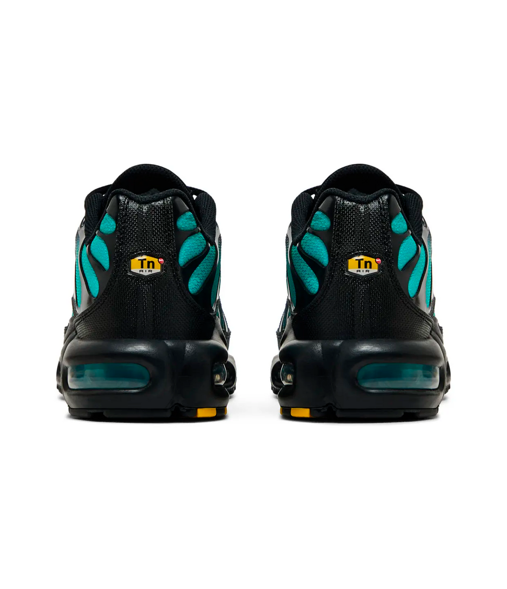 Nike Air Max Plus 'Black Dusty Cactus'