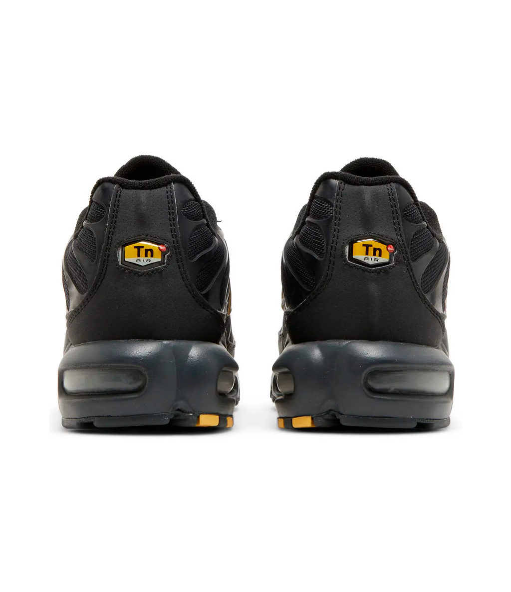 Nike Air Max Plus TN 'Black Metallic Gold'