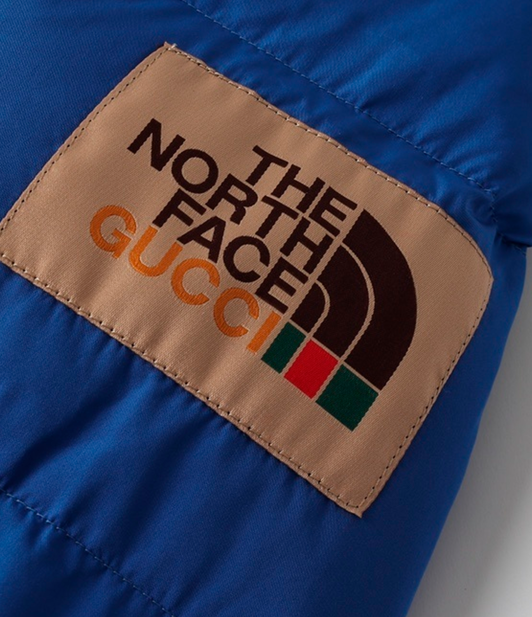 The North Face x Gucci Down Jacket Blue