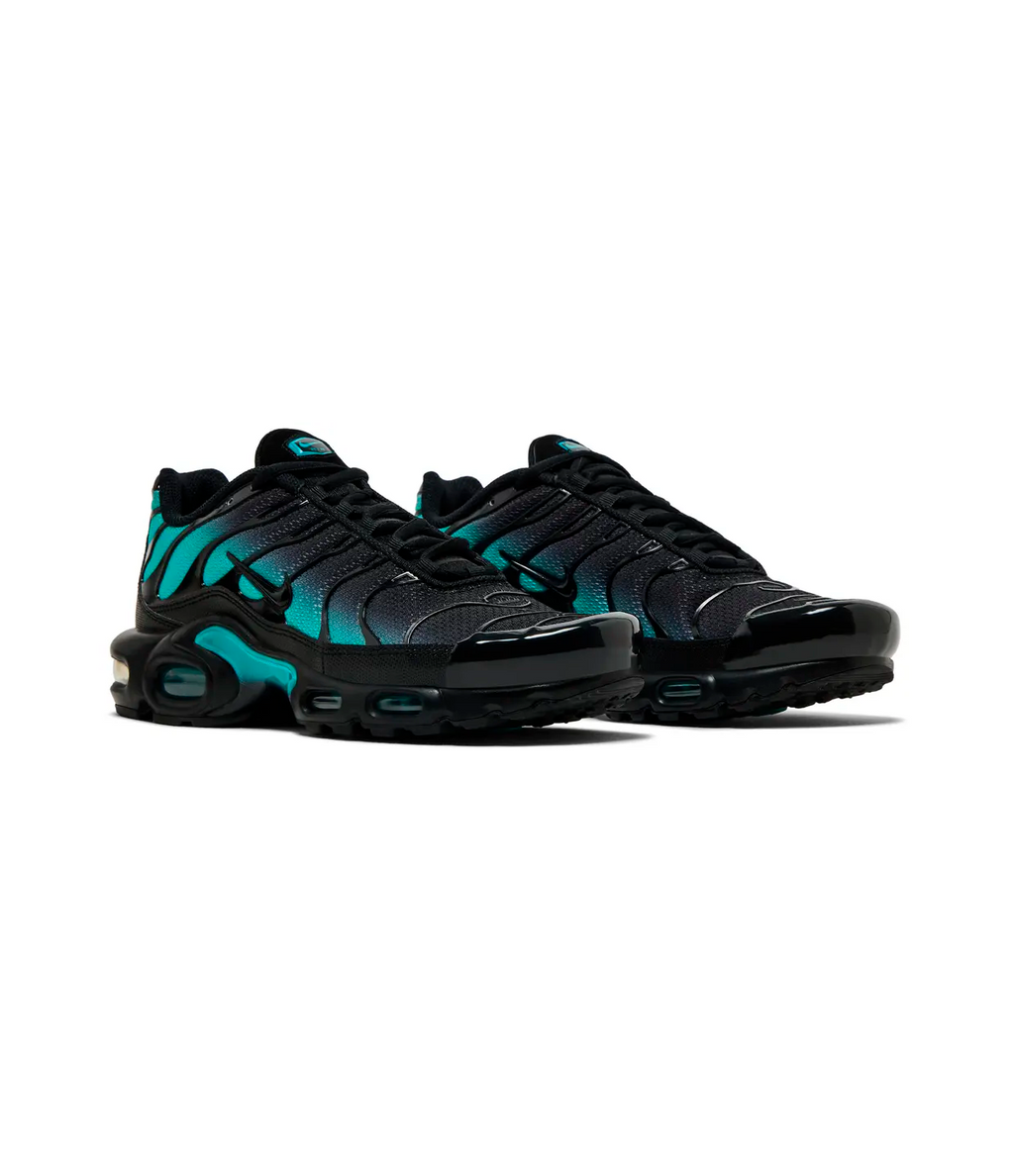 Nike Air Max Plus 'Black Dusty Cactus'